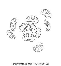 Handful of lima beans illustration in line art style isolated on white background.