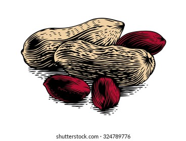 Handful of peanut's kernels with shelled peanuts on the white