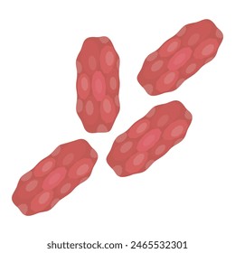 Un puñado de Ilustración vectorial de cacahuetes sobre fondo blanco. Representando un sencillo. Dibujo de diseño plano de sin descascarar. Entero. Asado. Salada. Cacahuetes sin sal. Una vida sana. Natural. Y bocadillo orgánico. Crudo