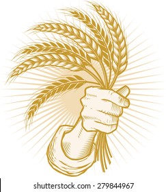 Handfull of Wheat