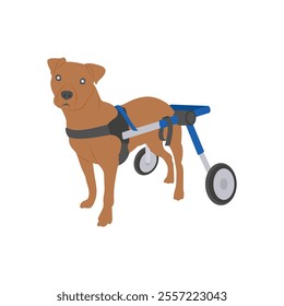 Handicapped Dog, Veterinary Flat Vector Illustration