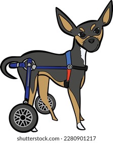 handicapped Dog wheelchair pet leg disability