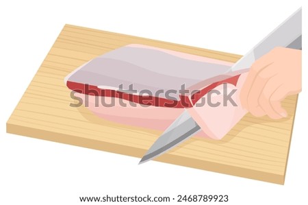 Handle the yellowtail fillet. Vector illustration.