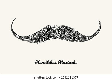 Handlebar mustache. Simple linear Illustration with fashionable men hairstyle. Contour vector background with isolated element for barber shop decor, prints, t-shirts, posters