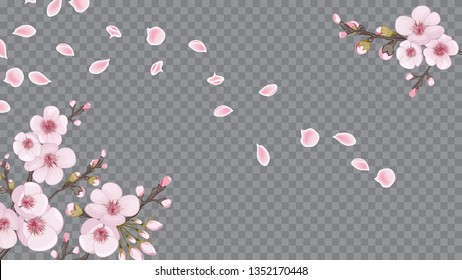 Handmade background in Chinese style. Pink on transparent background. The idea of textile design, wallpaper, packaging, printing. Spring frame horizontal of sakura flowers.