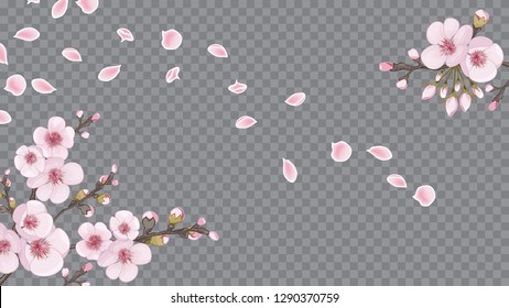 Handmade background in the Japanese style. Festive frame horizontal of sakura flowers. Pink on transparent fond.