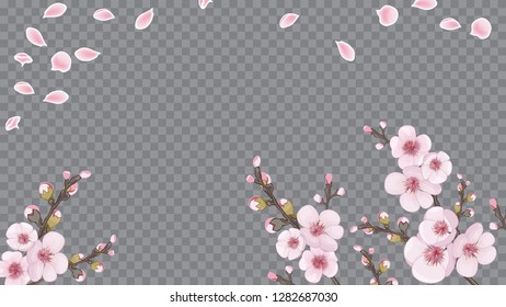 Handmade background in the Japanese style. Pink on transparent background. Design element for fabric, invitations, packaging, cards. Festive frame horizontal of sakura flowers.