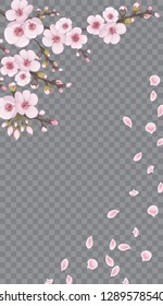 Handmade background in oriental style. Design element for fabric, invitations, packaging, cards, story. Pink on transparent background. Flying sakura flowers.