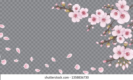 Handmade background in oriental style. The idea of textile design, wallpaper, packaging, printing. Flying sakura flowers. Rose on transparent background.