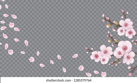 Handmade background in oriental style. Theme design textiles, wallpaper, packaging, printing. Flying sakura flowers. Magenta on white fond.