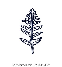 Handmade blockprint fern leaf vector motif clipart in folkart scandi style. Simple monochrome linocut plant shapes with naive rural lineart.