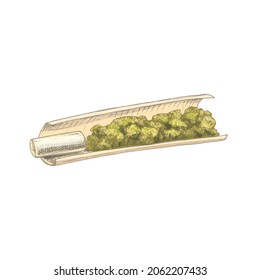 Cigarrillos hechos a mano con filtro. Vintage vectorial de color de la incubación ilustración dibujada a mano aislado en fondo blanco para la tienda de cannabis