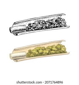Handmade cigarettes with filter. Vintage vector hatching color hand drawn illustration isolated on white background for cannabis shop