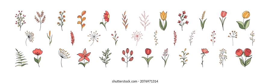 Handmade doodle flower and twig elements. Spring and autumn theme. botanical vector of flowers and plants in calligraphy or contour style. Social media highlights can be used to cover the story