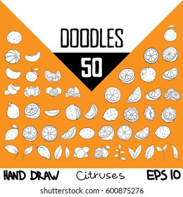 Handmade doodles CITRUSES