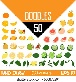 Handmade doodles CITRUSES