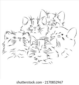 Handmade drawing of cute kittens looking up. Vector black and white graphics. Stylized sketch of realistic animals. Cat doodles in abstract hand drawn style. Kitten Isolated on white background.