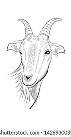 handmade drawing of the head of the goat isolated on a white background. Vector illustration