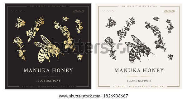 The handmade
drawing manuka flower with
bee