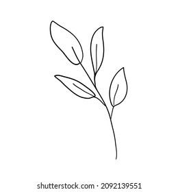 Handmade floral elements and flowers. Vector doodle illustration.