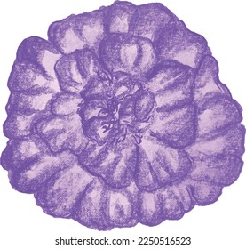 Handmade flower illustration for multiple usage