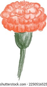 Handmade flower illustration for multiple usage