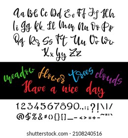 Handmade Font. Custom ABC. Modern ink calligraphy. Isolated vector set.