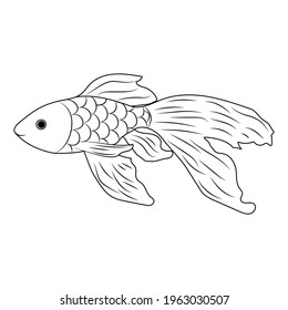 Handmade goldfish in doodl style. Vector illustration.