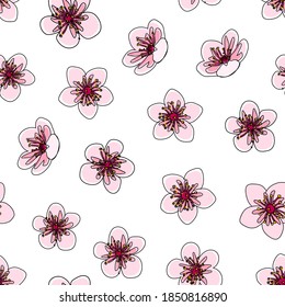Handmade isolated vector cherry flowers with black outline, unfit pink colored and white background seamless pattern