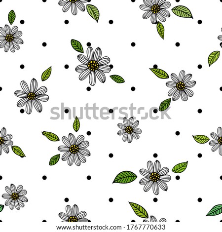 Image, Stock Photo Daisy variety