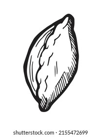 Pastel hecho a mano. Bollería de pan dulce blanco. Platos listos. La comida es deliciosa. Esbozo de dibujo manual. Aislado sobre fondo blanco. Dibujo monocromo. Vector.