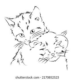 Handmade playing kittens. Vector black and white graphics. Stylized sketch of realistic animals. Cat doodles in an abstract hand-drawn style. A kitten isolated on a white background.