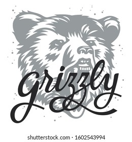 Handmade typography and Grizzly Bear head for trendy t-shirt design. Graphic Tee concept. Vector illustration with grunge textures.