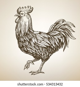 handmade vector drawing Rooster on old background