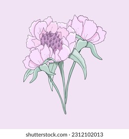 Handgefertigte Vektorgrafik. Design für Hochzeit, Einladung oder Grußkarten. Bouquet mit rosafarbenen Chrysanthemen.