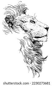Handmade vector illustration of lion's face. Art in free strokes. Lion head profile design for printing on t-shirts, posters, etc.