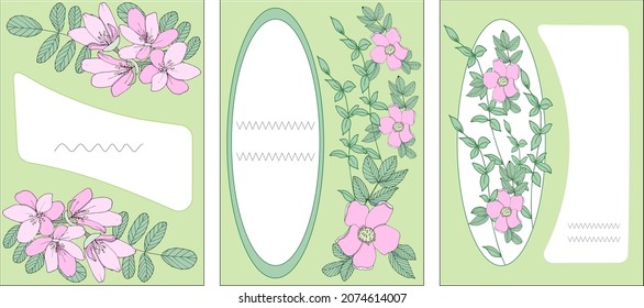 Handmade vector illustration. Set of invitation or greeting cards.Cards with different floral elements. 