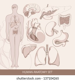 Handmade vector set of human organs.