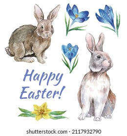 Handmade vector watercolor rabbits. Painted bunnies for easter. Inscription "Happy Easter!". Crocuses flower