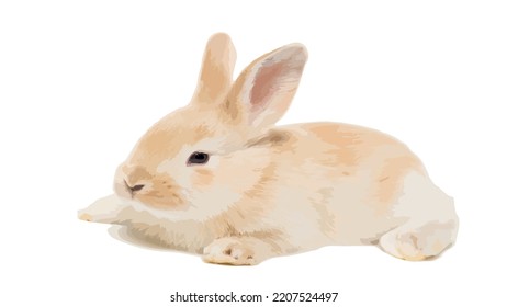 Handmade vector watercolor rabbits. Painted bunnies for easter. Inscription "Happy Easter!". Crocuses flower