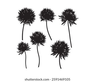 Handmade watercolor illustration of black and white onion on the white background. Colorful background for fabric, wallpapers, gift wrapping paper, scrapbooking.