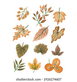 Handmade Watercolor leaves Collections, Hand drawn leaves