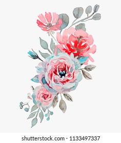 handmade watercolor rose vector illustration isolated on ligth grey background
