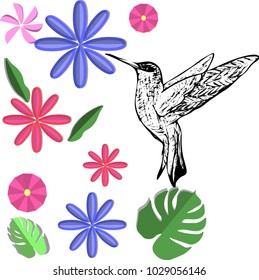 A hand-painted bird of hummingbirds. Vector illustration, paper hand-made.