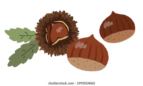 Hand-painted chestnut-style illustration
Image of autumn