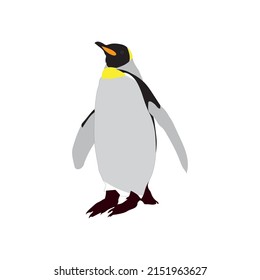Hand-painted color penguin picture on white background, amphibious animals that live in icy and cold region.Penguin icon,penguin logo.Vector illustration.