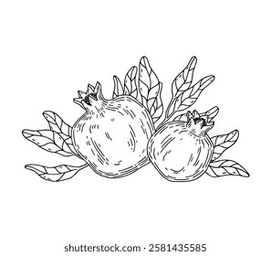 Hand-painted composition with pomegranate fruit and leaves. Sketch isolated on white background.