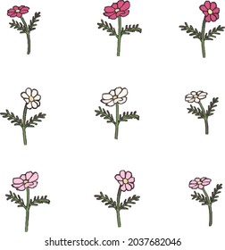 Hand-painted cosmos flower material (light pink, dark pink, white)