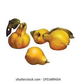 Hand-painted digital art. Delicious yellow pears. Vector eps 10