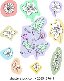 Hand-painted flowers for your design. Set with different flowers.